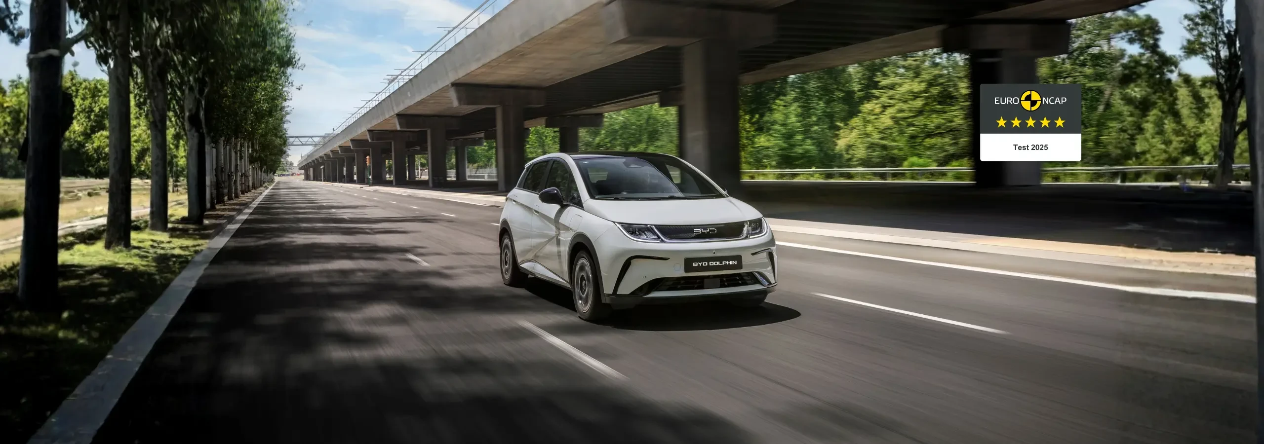 JBO竞博 DOLPHIN - La city car elettrica agile e versatile